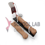 Adult,injection arm trainer